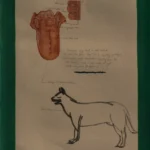 Conversation with Nietzche, 2020 | Found text