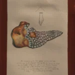 Conversation with Xipe Totec, 2020 | An excerpt from The diary of Frida Kahlo