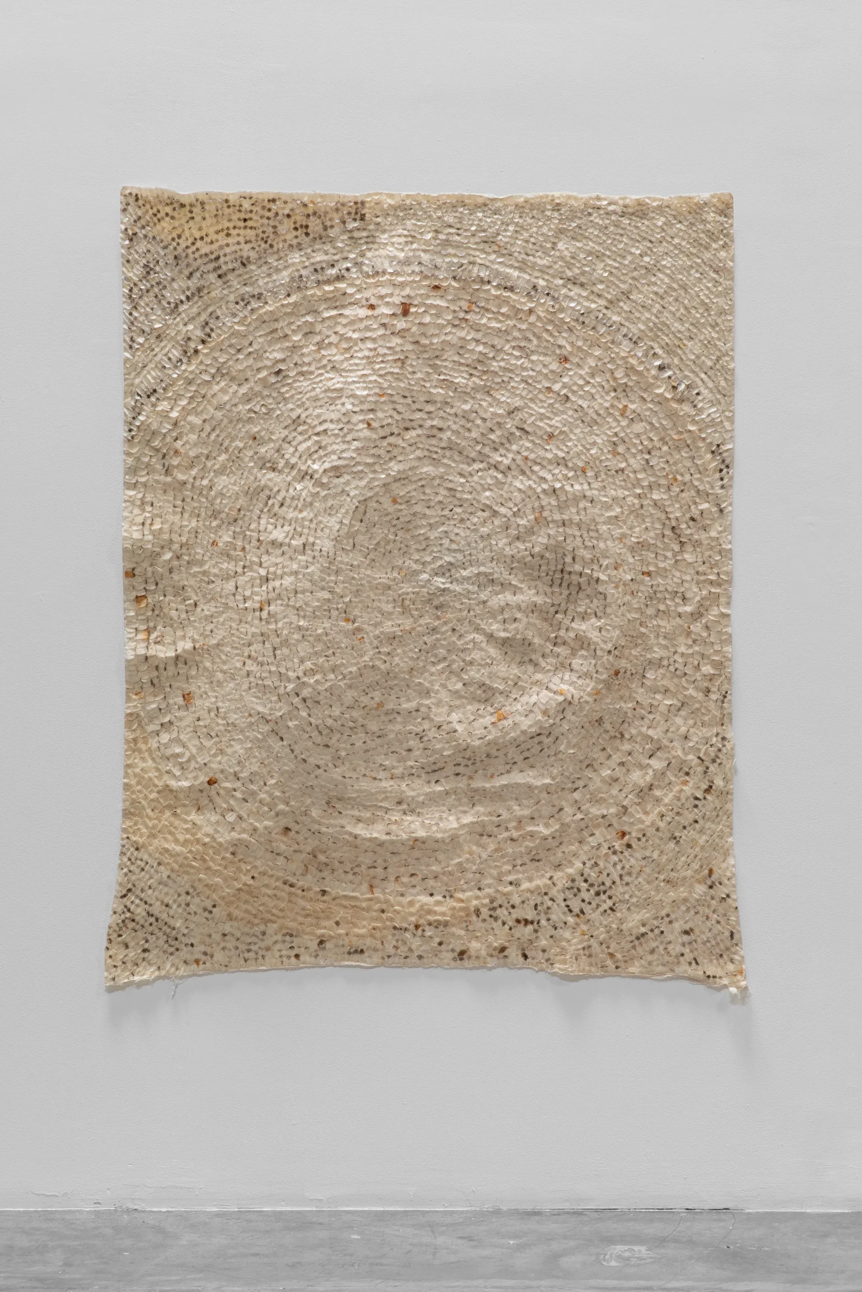 Old Complaints Revisited, II, 2020-23