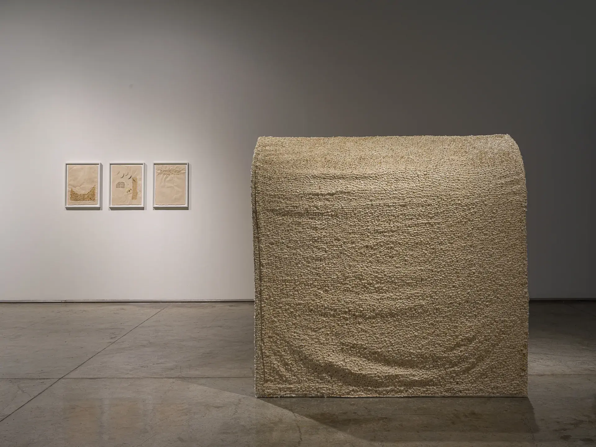 Antevasin - The one who sits at the border of two worlds<br>
Installation view
