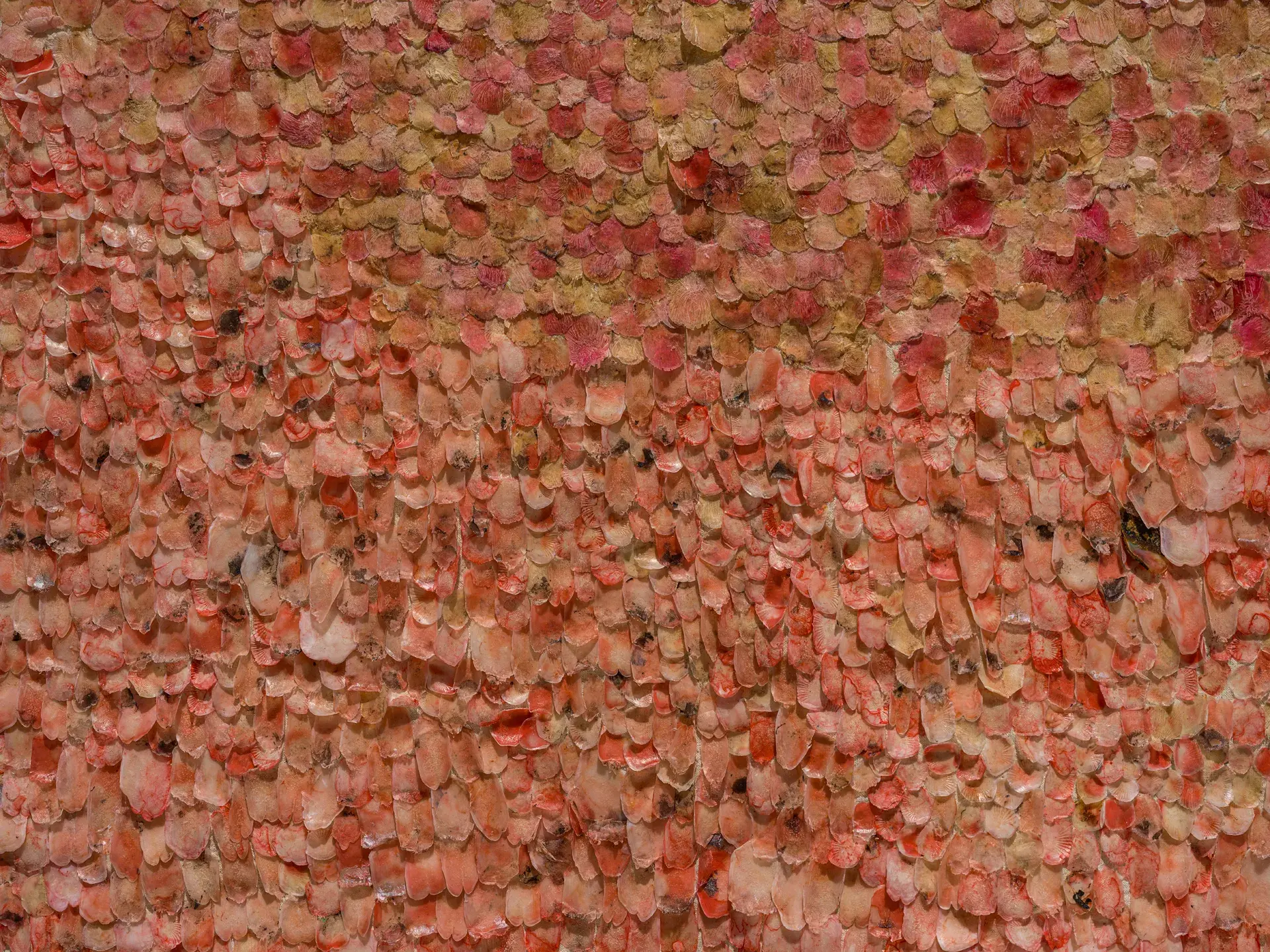 The Animals, The Bodies and Coefficient of Time VI, 2025​