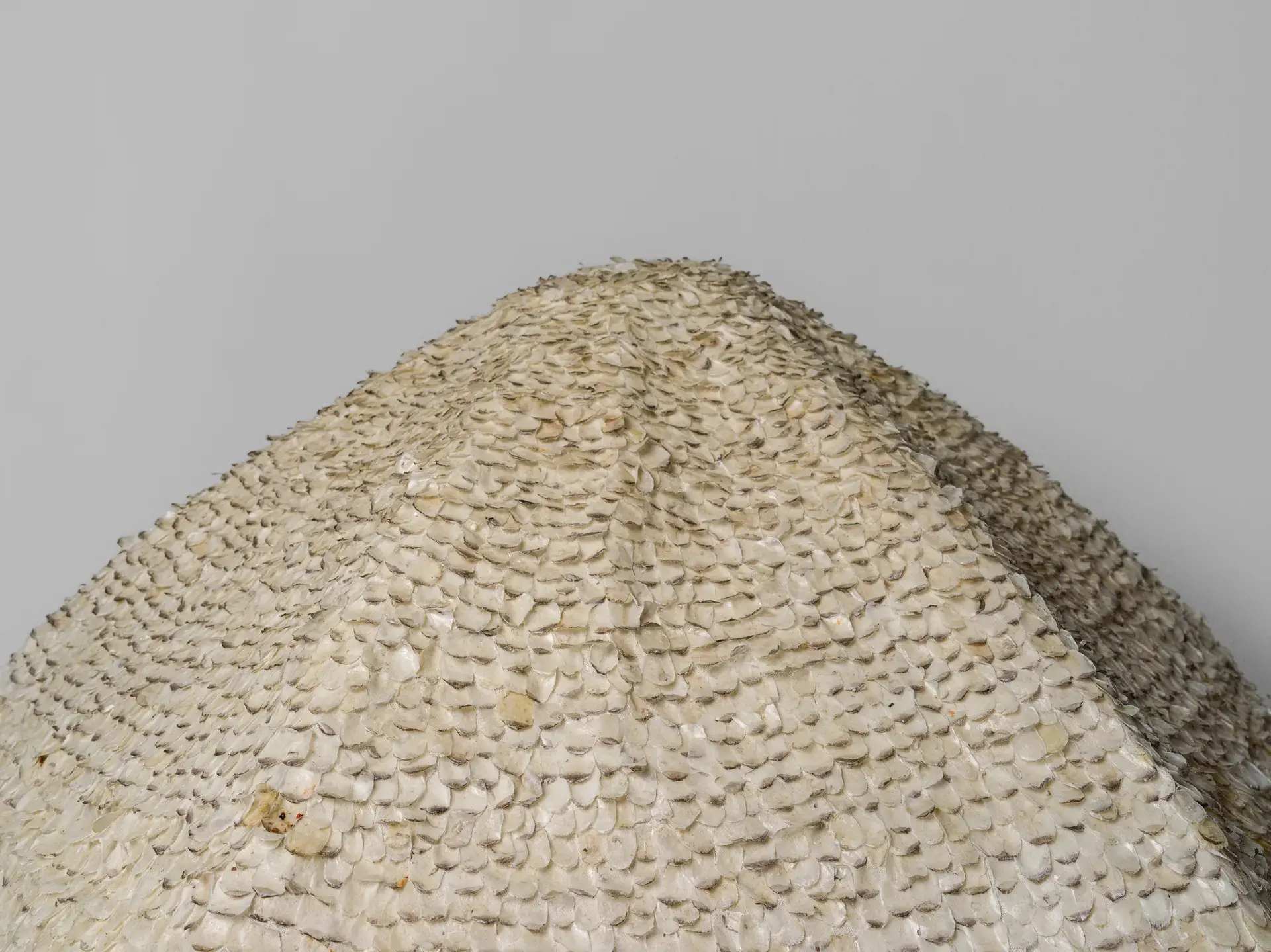 The Animals, The Bodies and Coefficient of Time III, 2025​