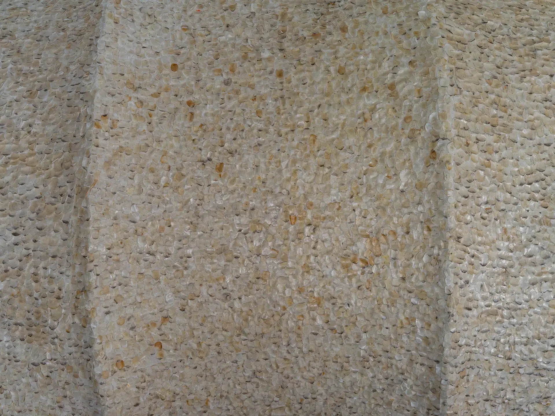 The Animals, The Bodies and Coefficient of Time IV, 2025​