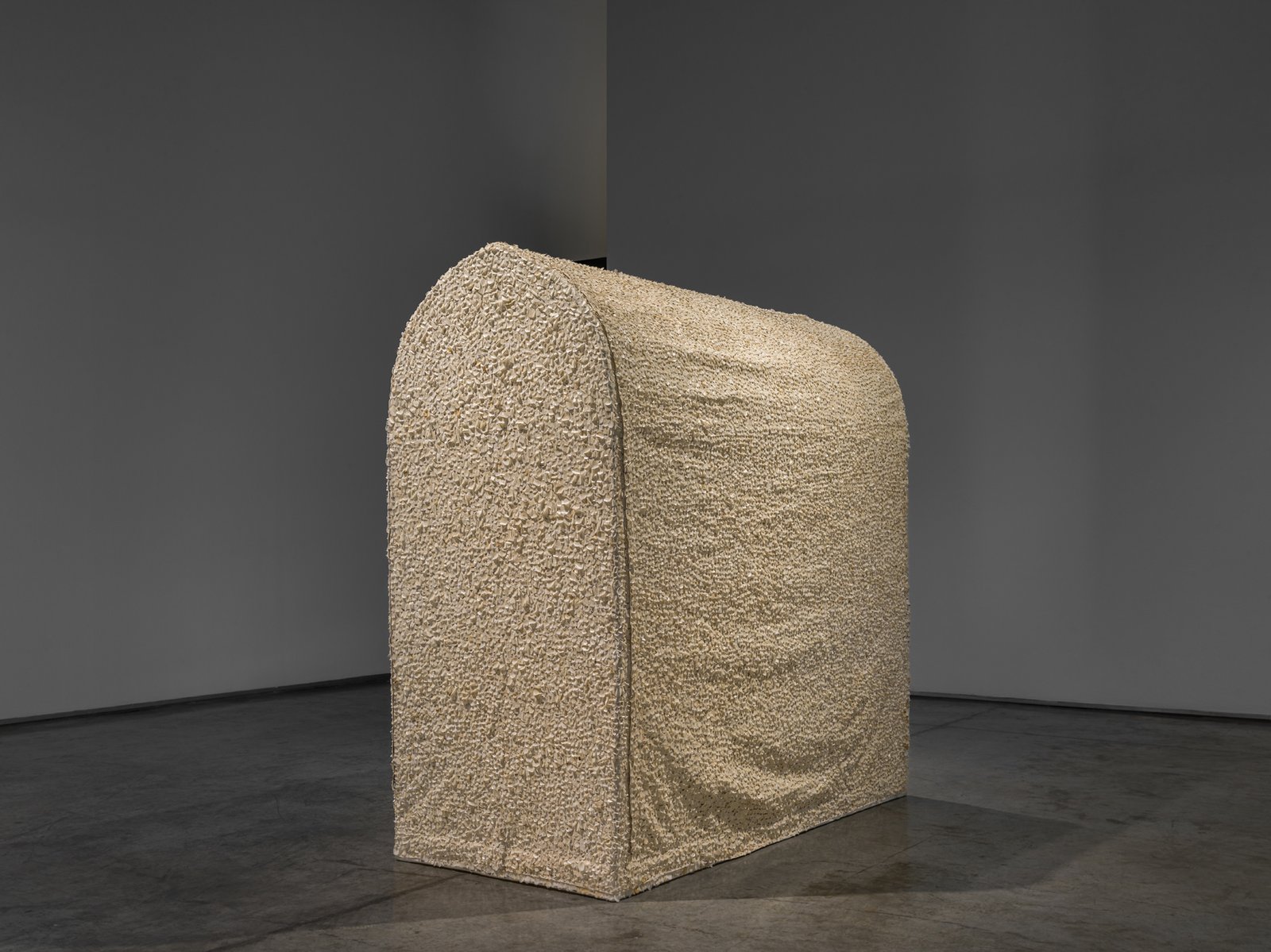 The Animals, The Bodies and Coefficient of Time, 2025